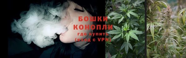 бошки Алексин