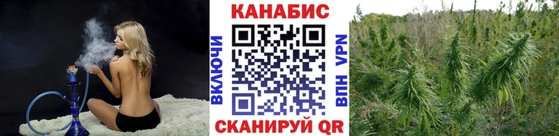 кракен   Железногорск  Каннабис план 
